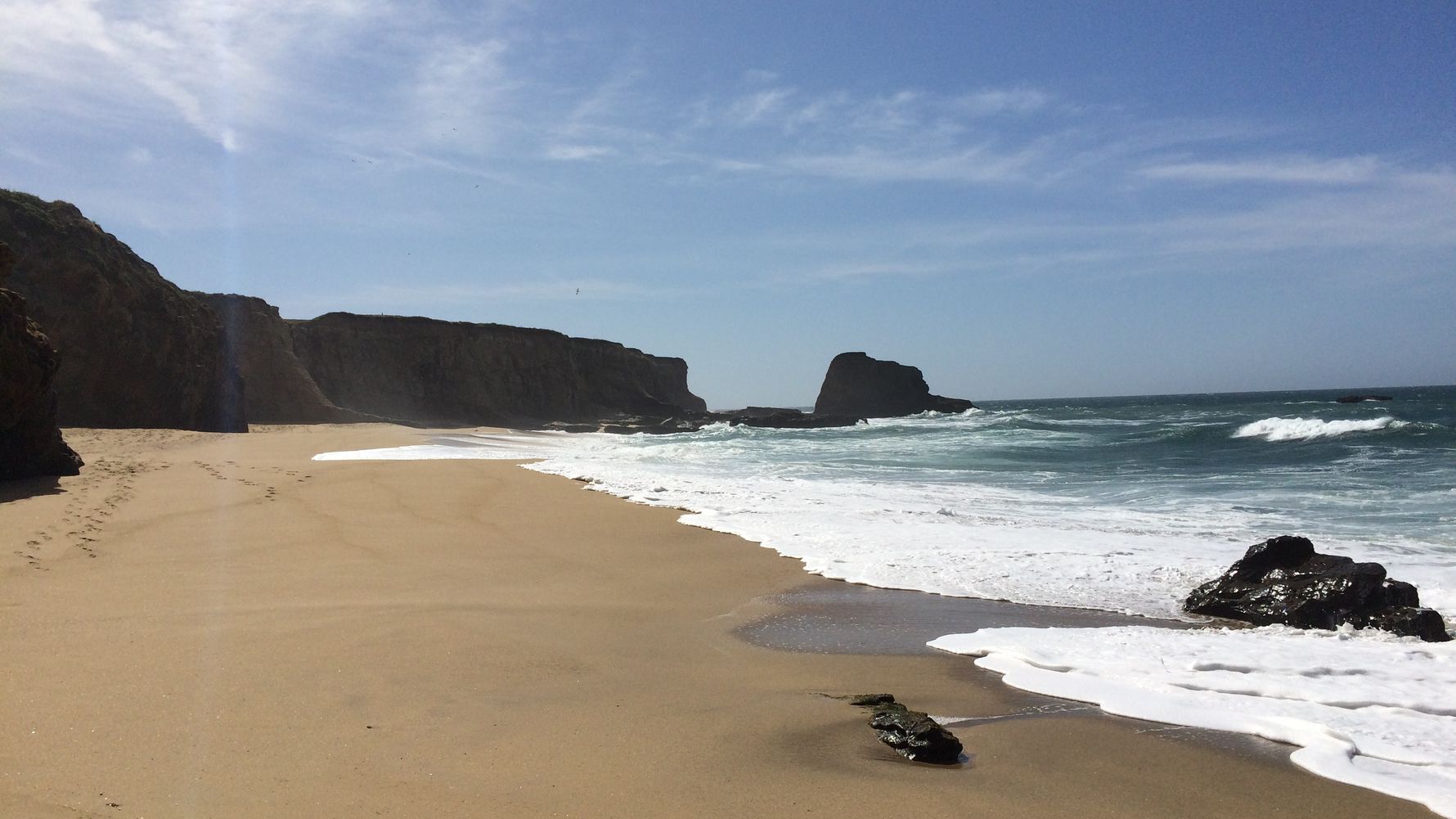 freiwilligenarbeit-usa-kalifornien-erfahrungsbericht-kundenfotos-naturschutz-strand-natucate