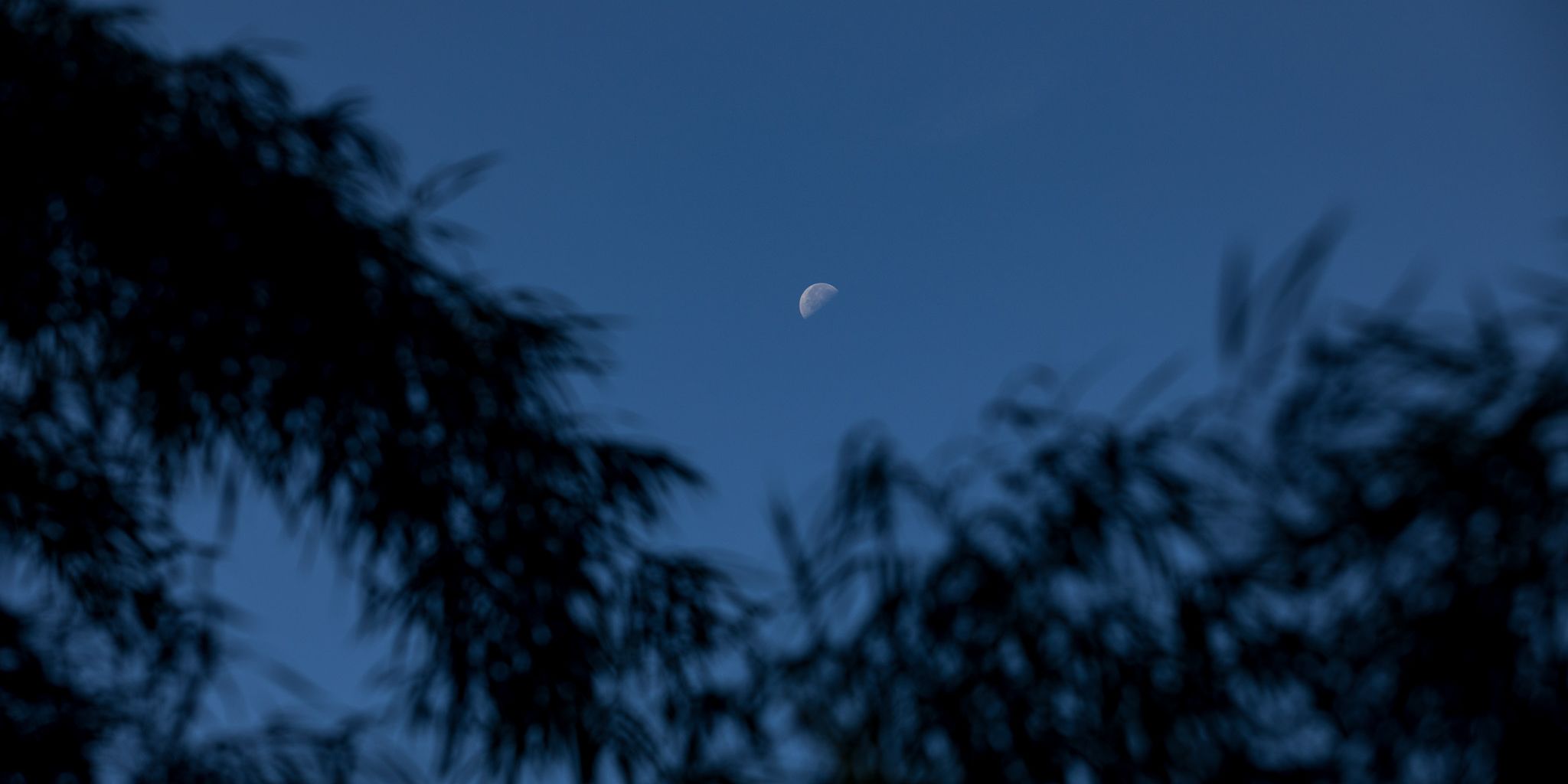 natucate-volunteering-costa-rica-internship-night-sky