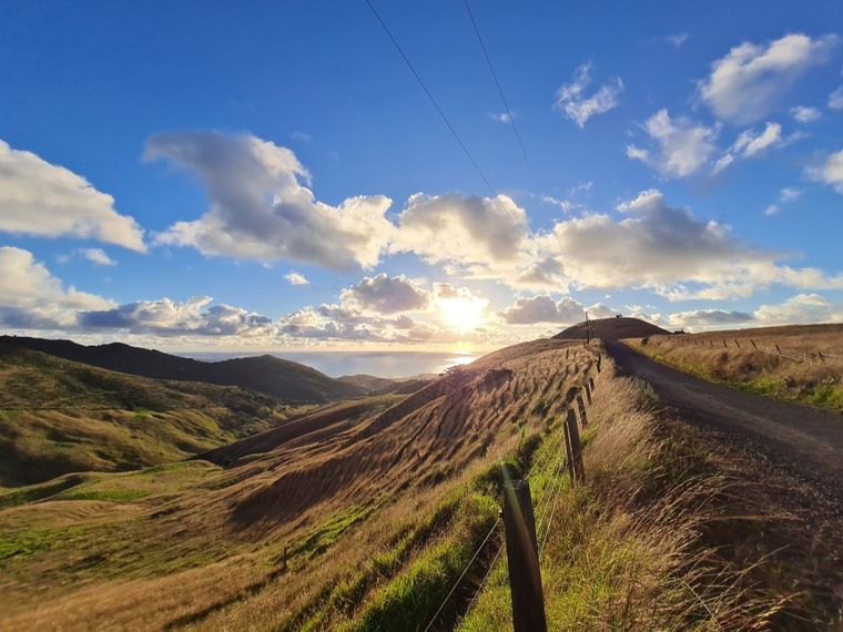 natucate-blog-review-volunteering-kauri-coast-ellie-landscape