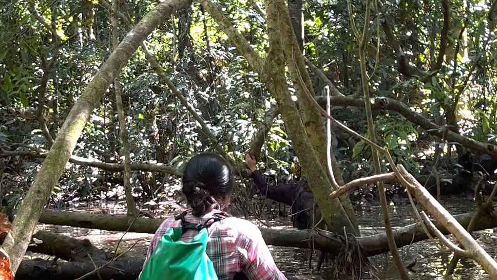 erfahrungsberichte-freiwilligendienst-peru-sina-rainforest-natucate