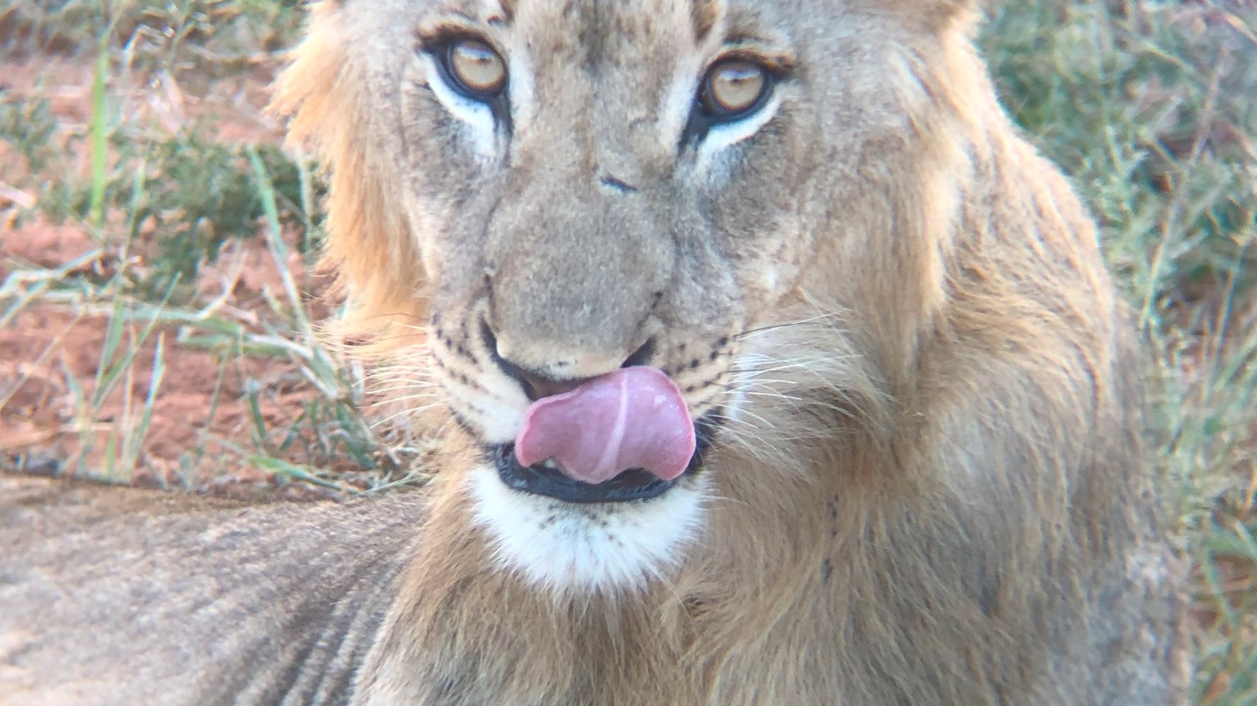 erfahrungsberichte-rangerkurse-suedafrika-field-guide-level-1-simon-loewe-natucate