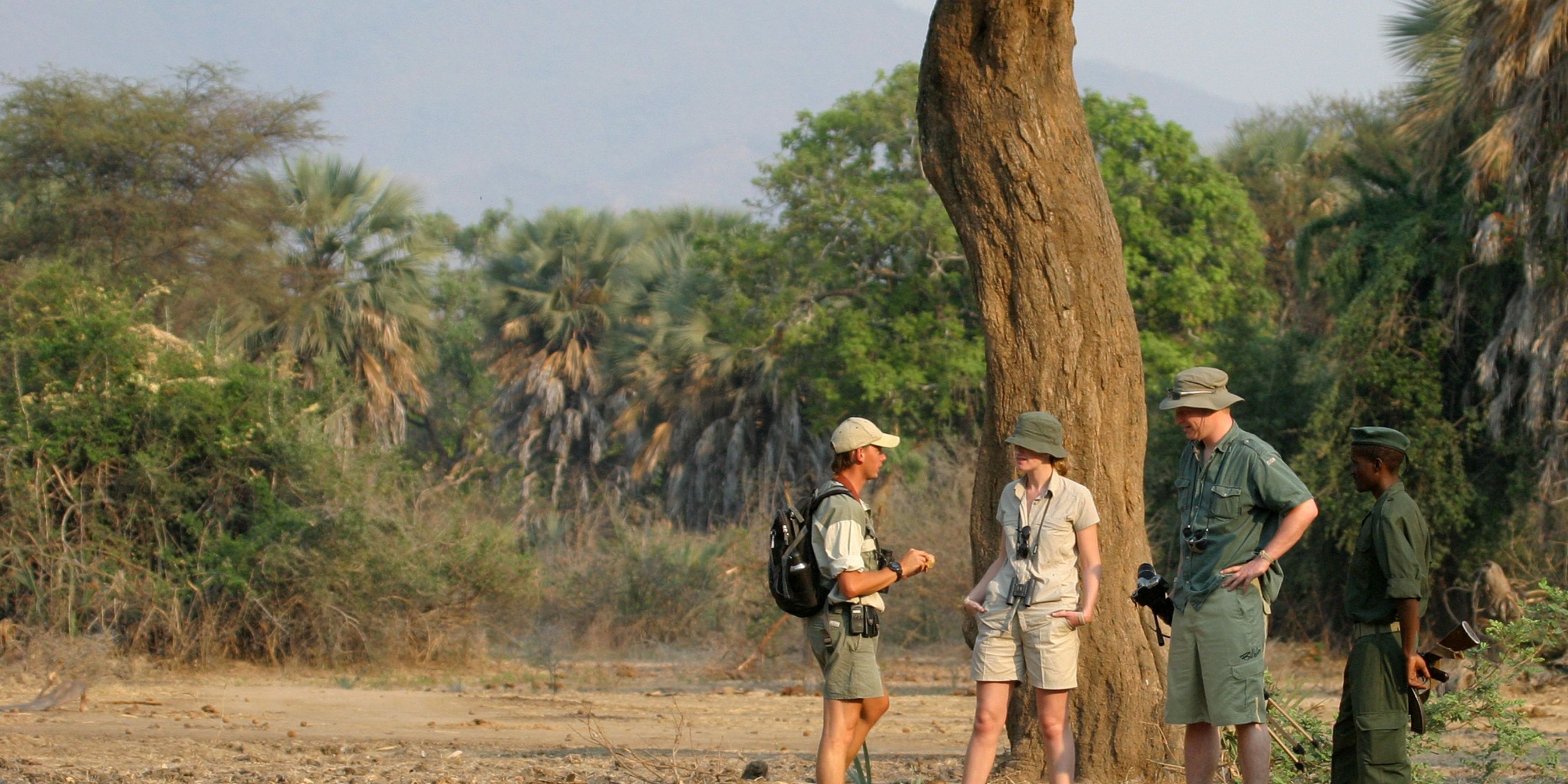 natucate-travel-safari-zambia-two-river-walking-safari-sausage-tree
