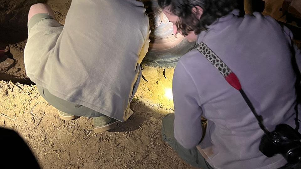 erfahrungsberichte-rangerkurs-field-guide-level-1-afrika-leila-festgefahren-natucate