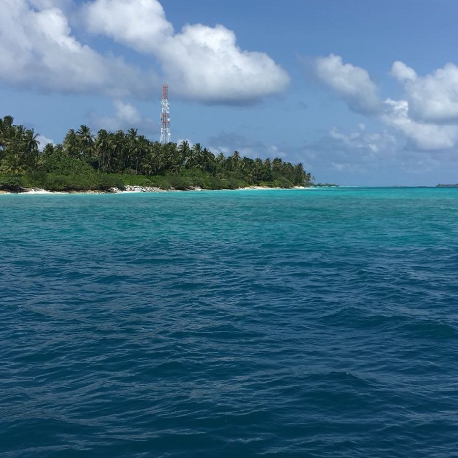 freiwilligenarbeit-malediven-erfahrungsbericht-artenschutz-kueste-natucate