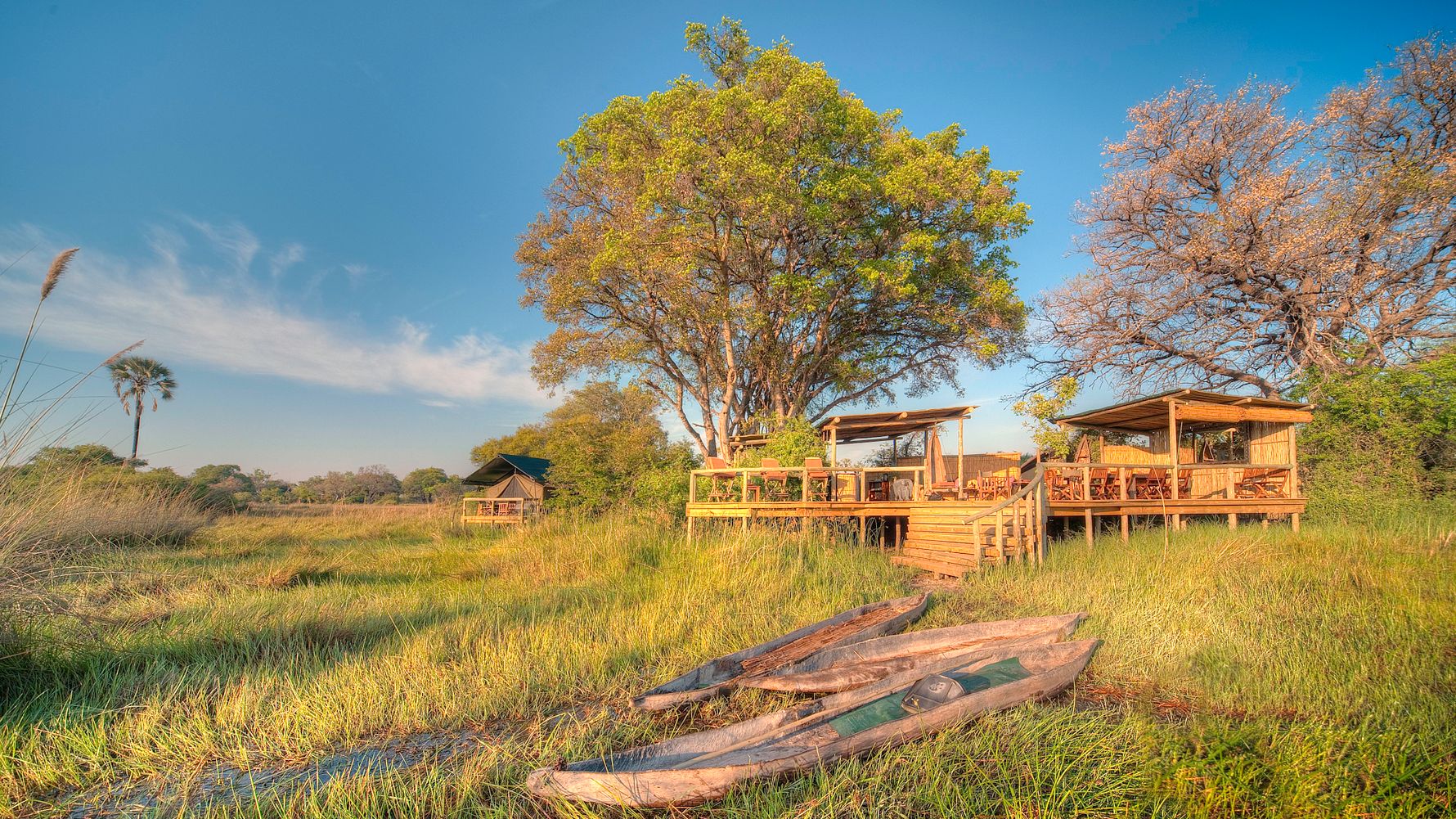 blog-ratgeber-botswana-oddballs-enclave-plattform-natucate