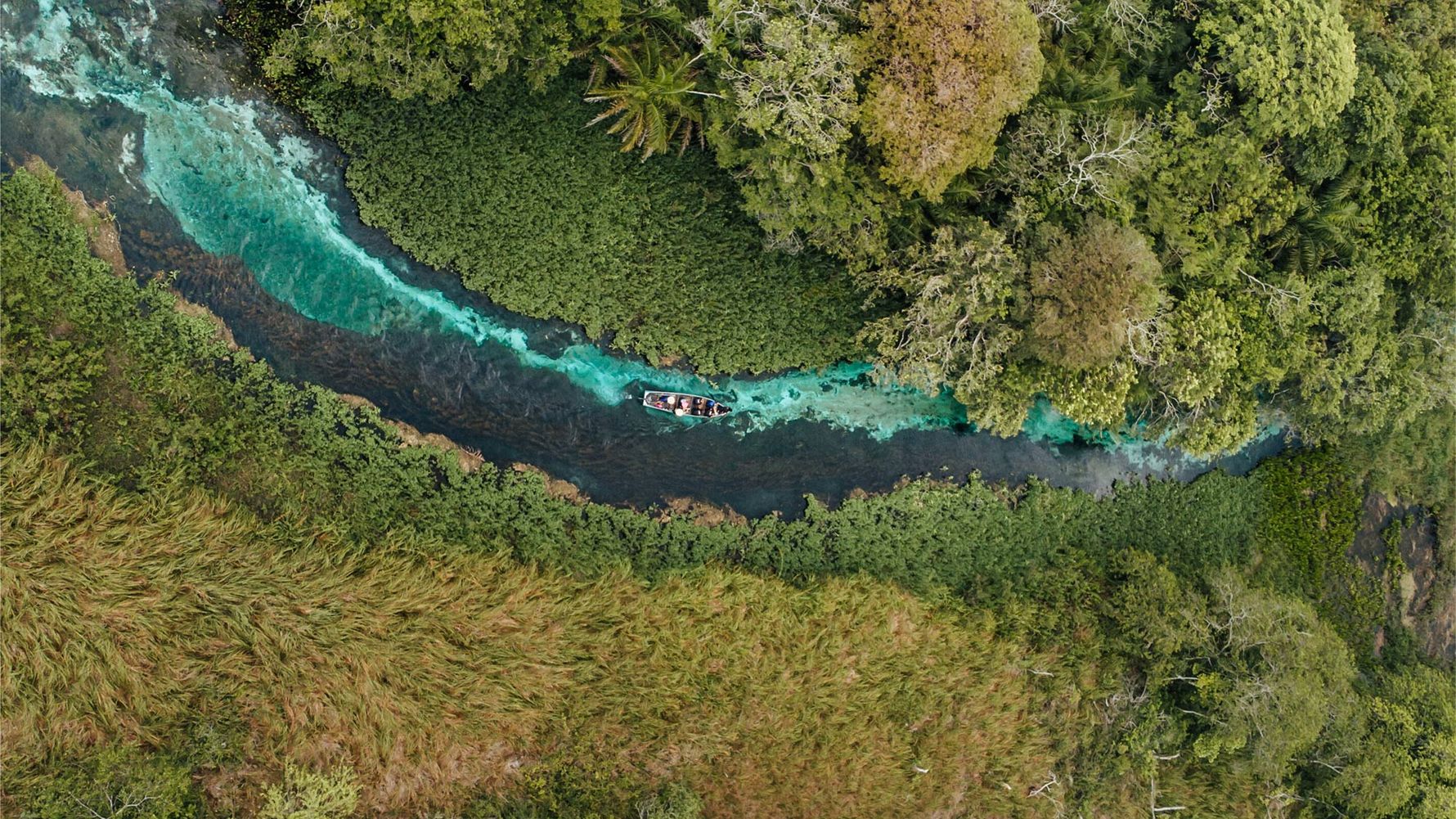 From the coast of Brazil we look at your archipelago. In the foreground are green branches
