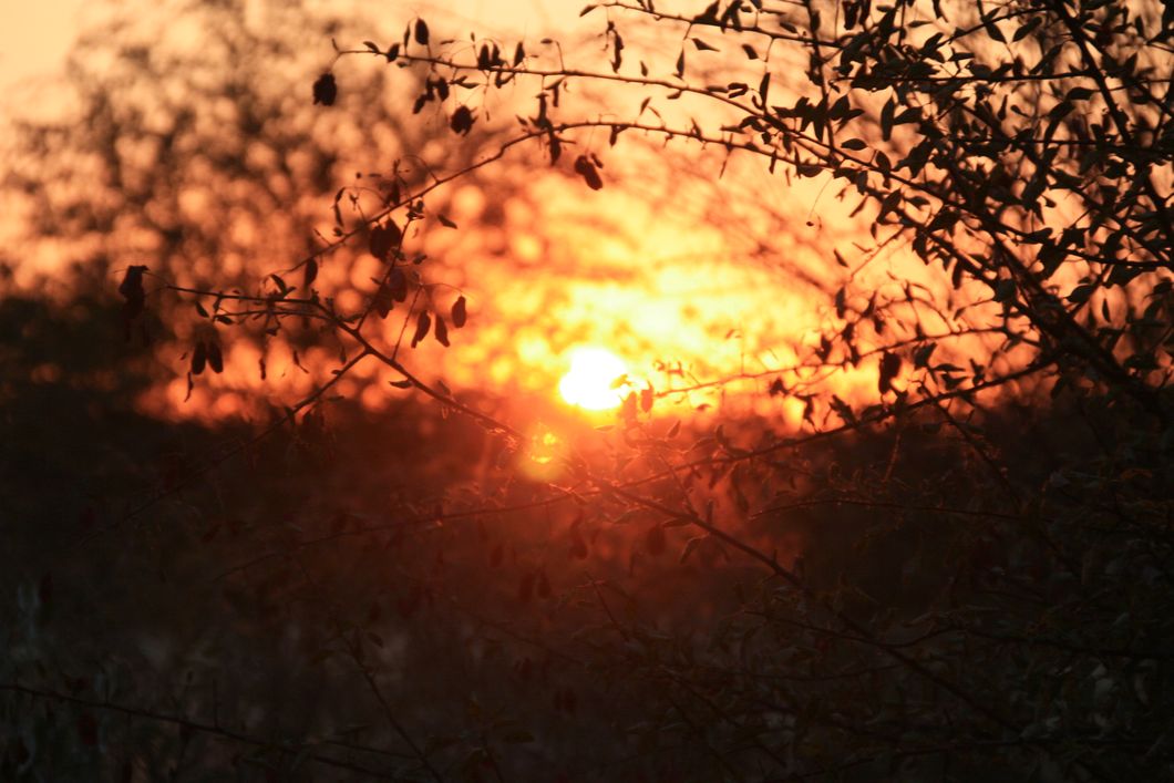 Aussicht auf den Sonnenuntergang bei einem Ausflug in den afrikanischen Busch