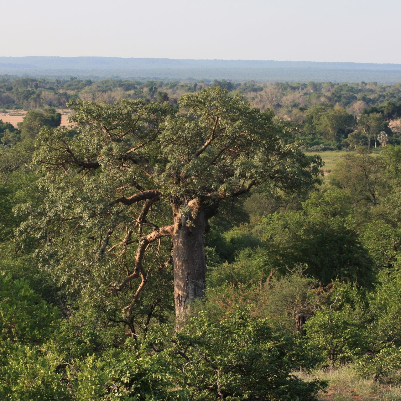 naturreise-suedafrika-erfahrungsbericht-ecoquest-kundenfotos-landschaft-natucate