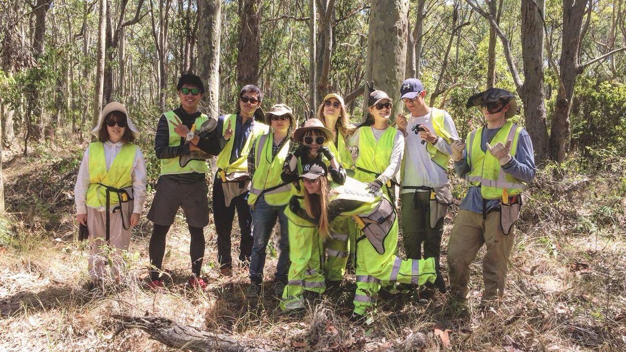 freiwilligenarbeit-australien-erfahrungsbericht-naturschutz-gruppe-natucate