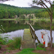 Auslandsaufenthalt in Neuseeland: See mit Steg in der Wildnis