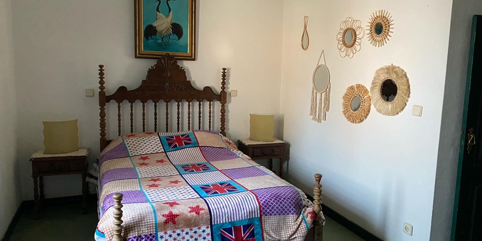 natucate-volunteering-portugal-animal-welfare-room