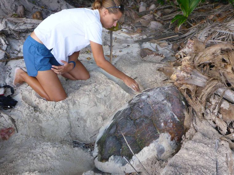 freiwilligenarbeit-seychellen-erfahrungsbericht-kundenfotos-natucate