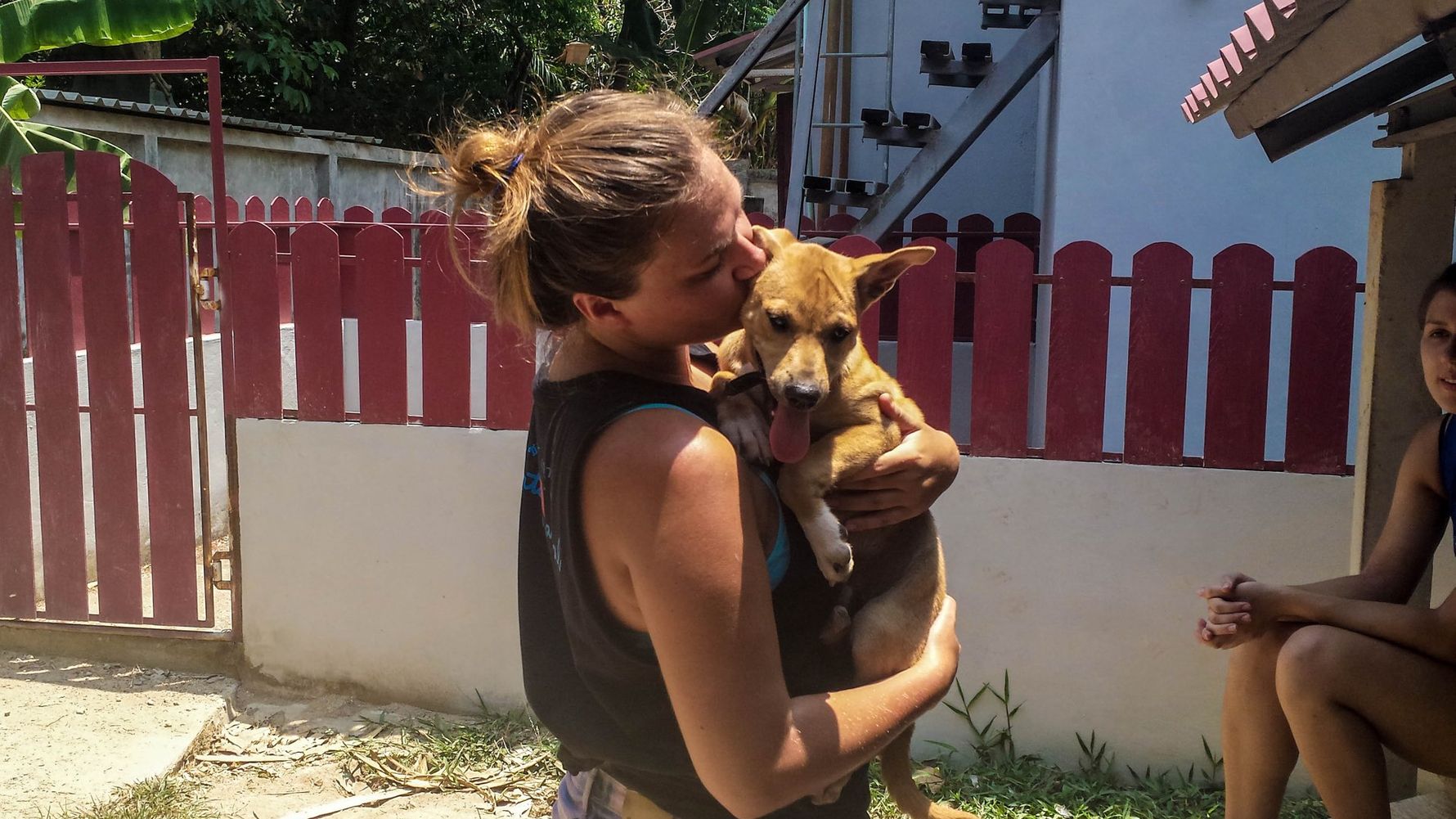 freiwilligenarbeit-thailand-erfahrungsbericht-kundenfotos-tierschutz-hunde-natucate