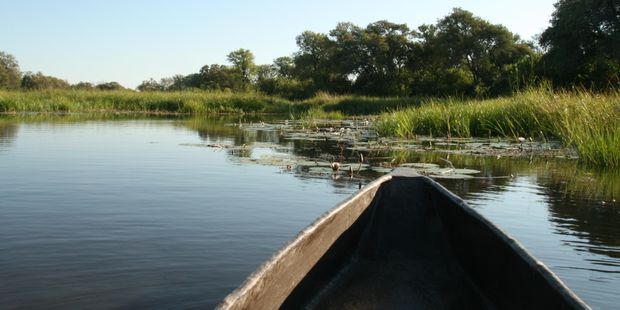 botswana-laenderinformationen-okavango-delta-mokoro-guidekurs-natucate