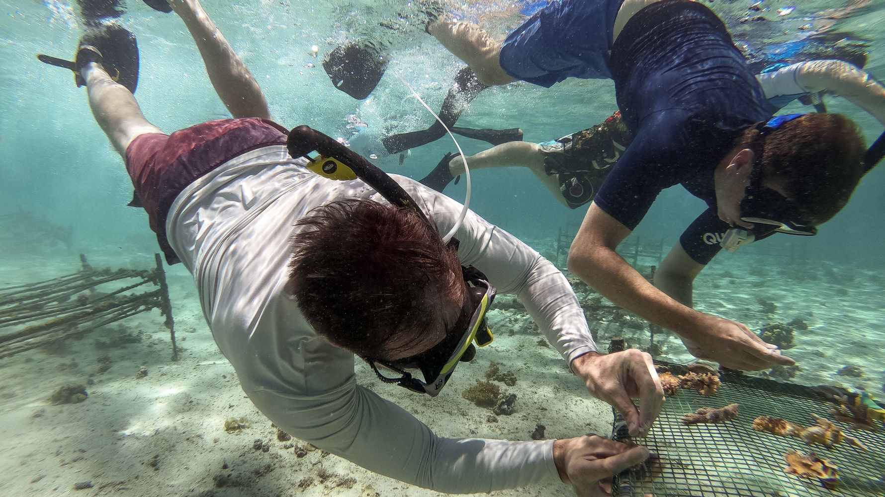 blog-ratgeber-haeufig-gestellte-fragen-freiwilligenarbeit-mauritius-natucate