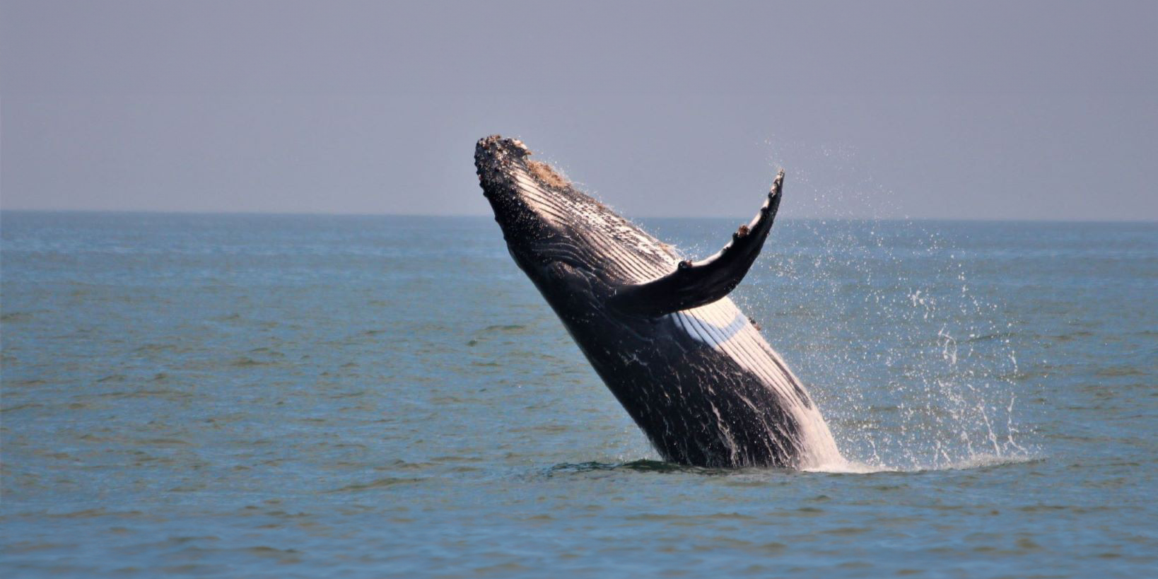 natucate-internship-south-africa-nature-valley-trust-forschung-strand-wal