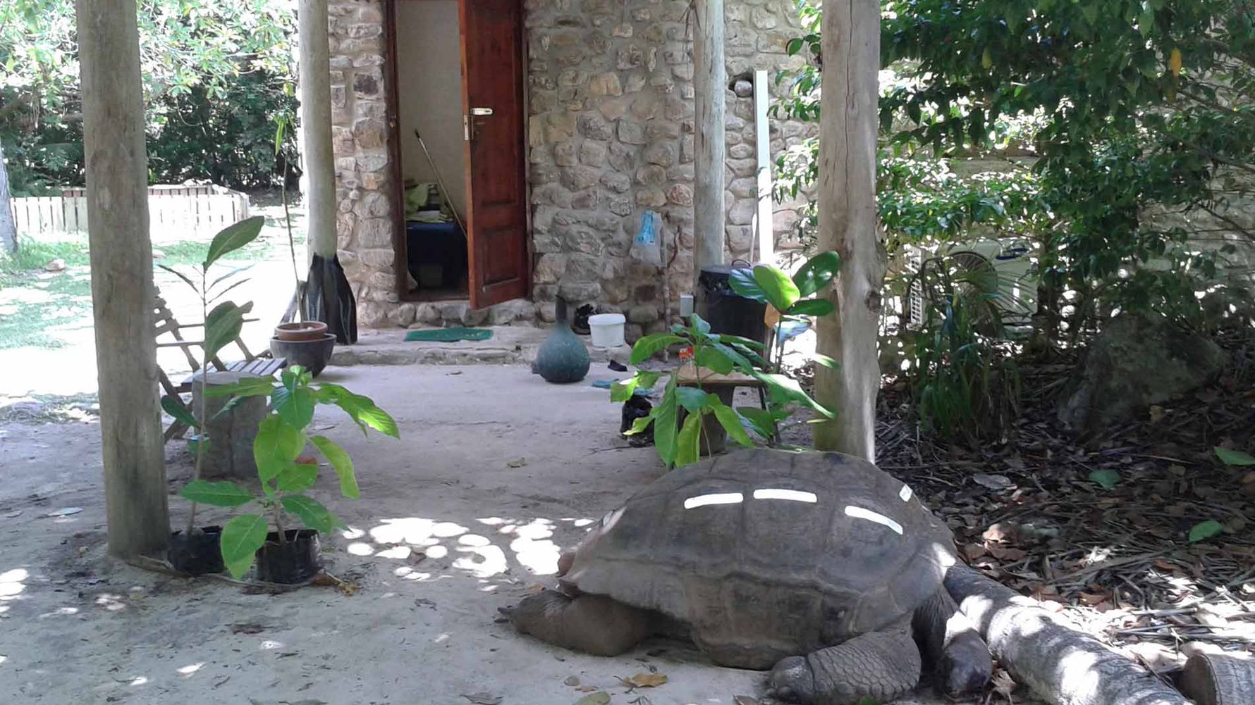 freiwilligenarbeit-seychellen-artenschutz-erfahrungsbericht-kundenfotos-natucate