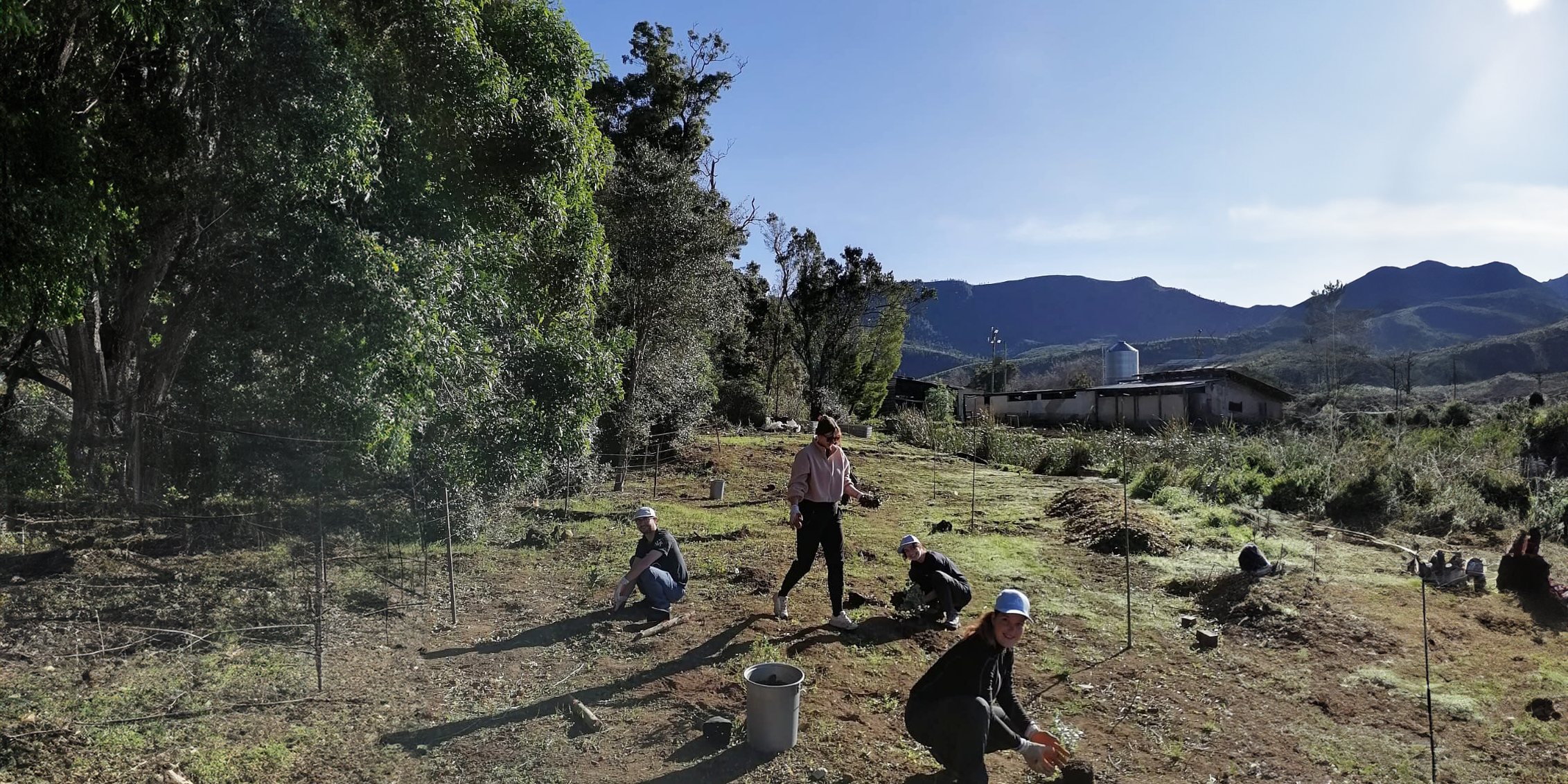 natucate-internship-south-africa-nature-valley-trust-forschung-boden