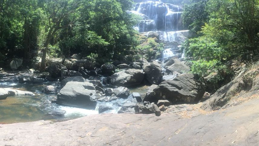 freiwilligenarbeit-sri-lanka-erfahrungsbericht-elefanten-artenschutz-natucate