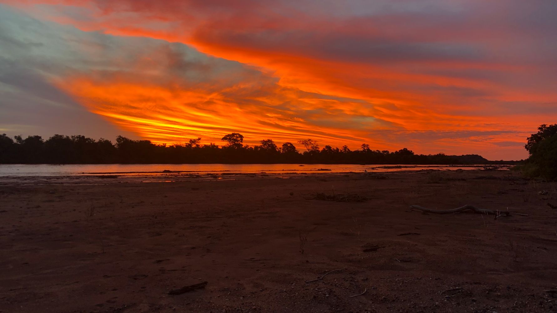 erfahrungsberichte-rangerkurse-suedafrika-field-guide-level-1-simon-rote-wolken-natucate