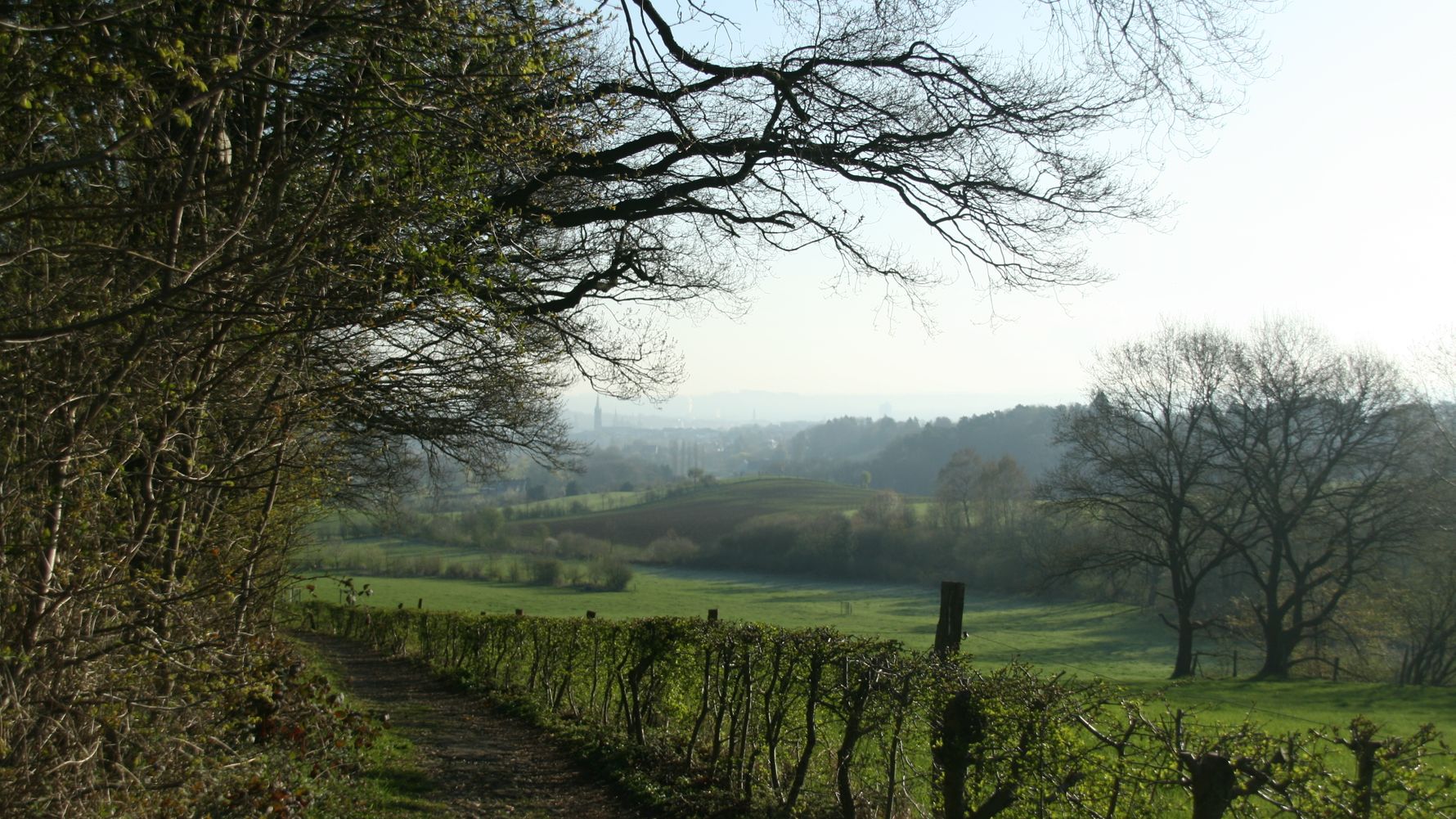 laenderinformationen-deutschland-landschaft-natucate