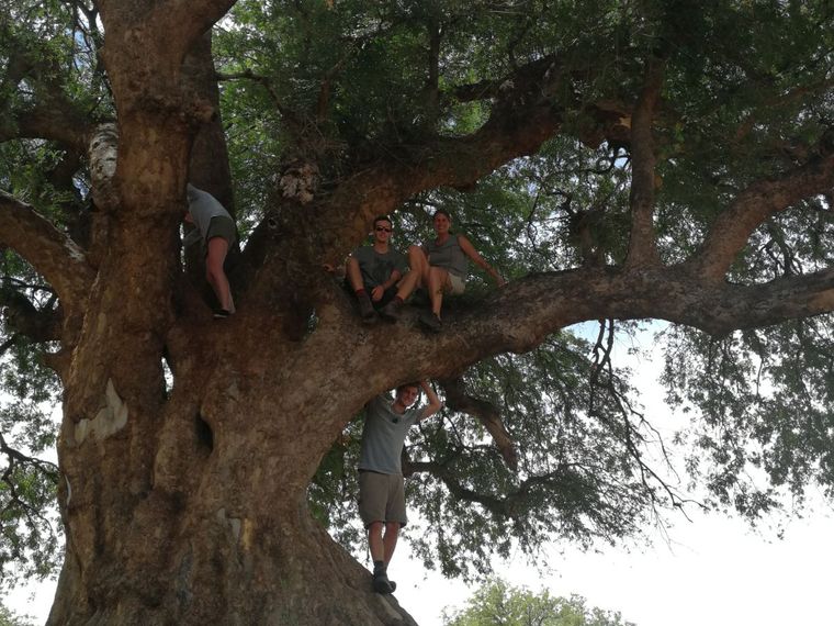 erfahrungsberichte-suedliches-afrika-fgl1-rangerausbildung-baum-natucate