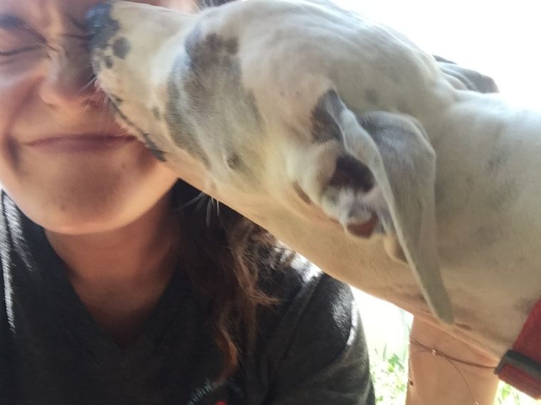 freiwilligenarbeit-thailand-erfahrungsbericht-tierschutz-natucate