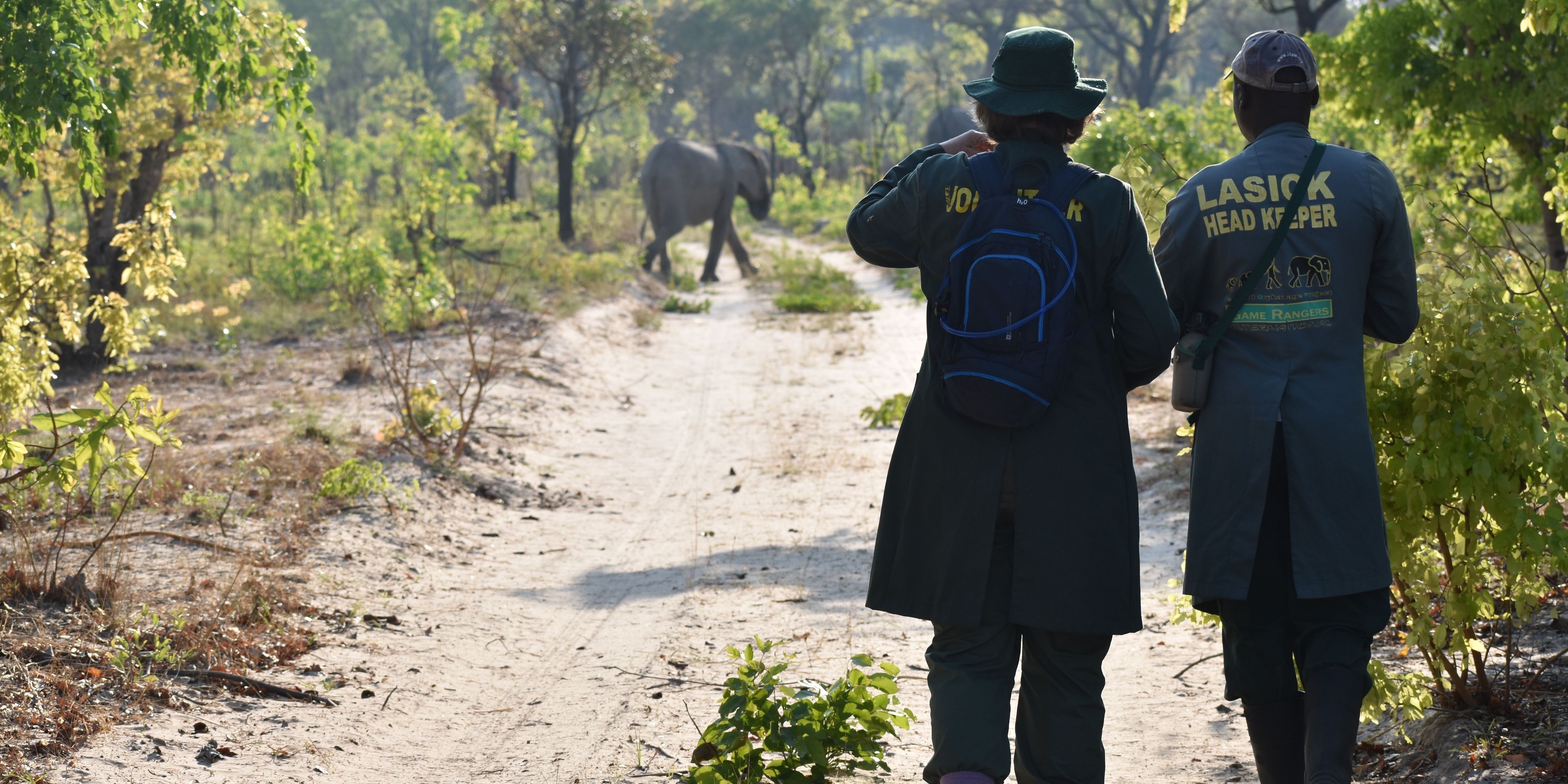freiwilligenarbeit-sambia-artenschutz-kafue-nationalpark-volunteers-elefant-natucate