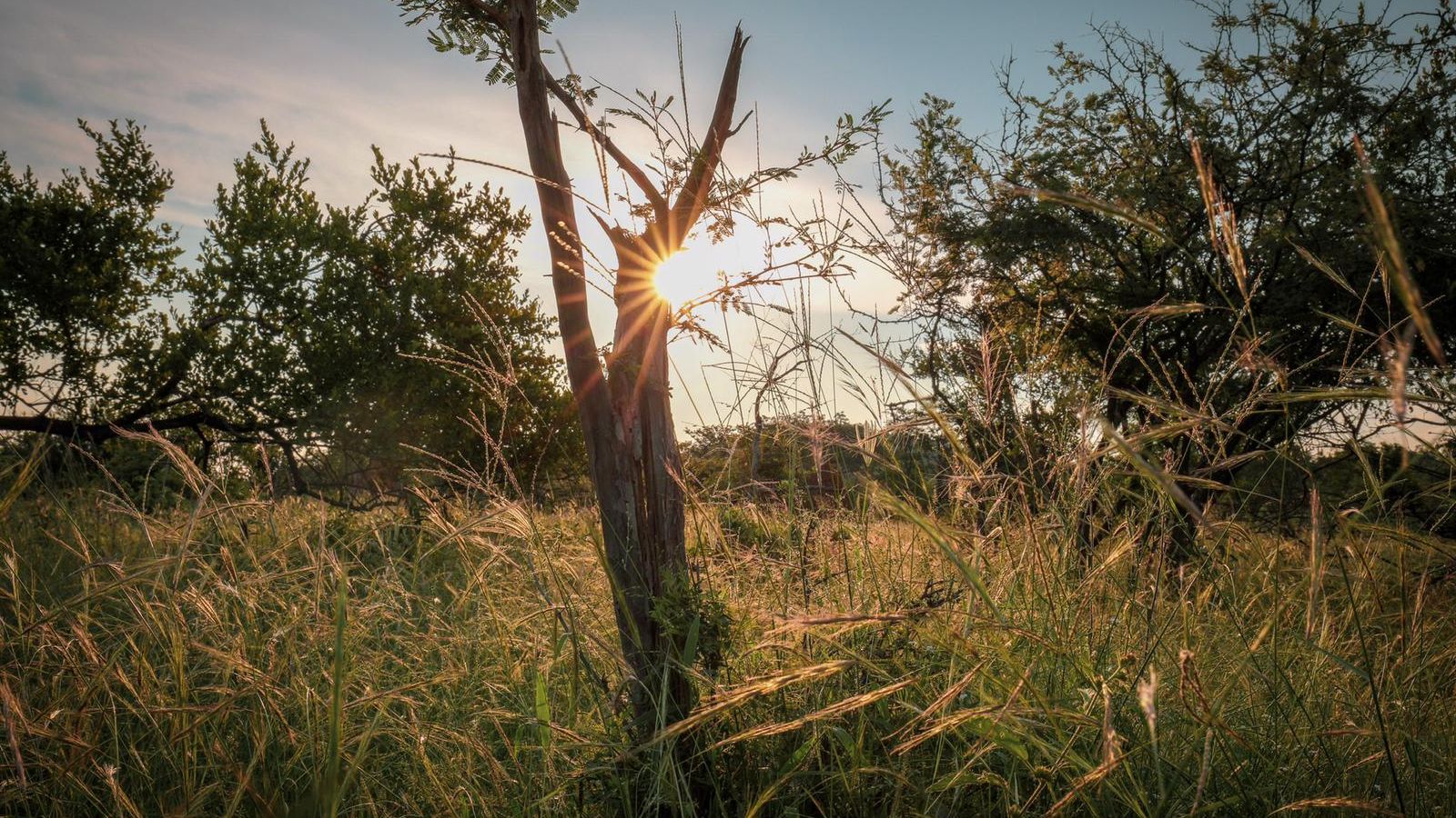 blog-ratgeber-safaris-vorausetzungen-sonnenuntergang-natucate