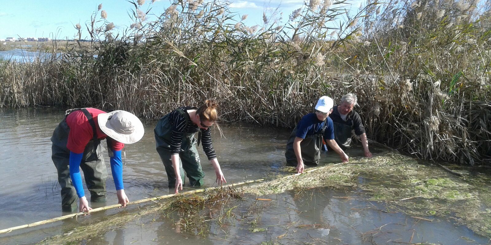freiwilligenarbeit-spanien-valencia-europa-volunteers-feuchtbiotop-natucate