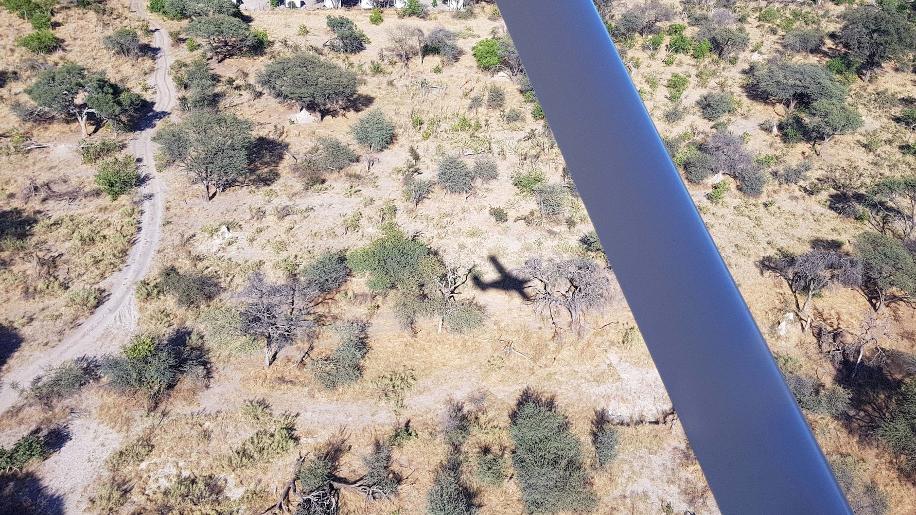 Flugsafari Afrika: Blick aus einer Propellermaschine auf die Savanne des suedlichen Afrikas