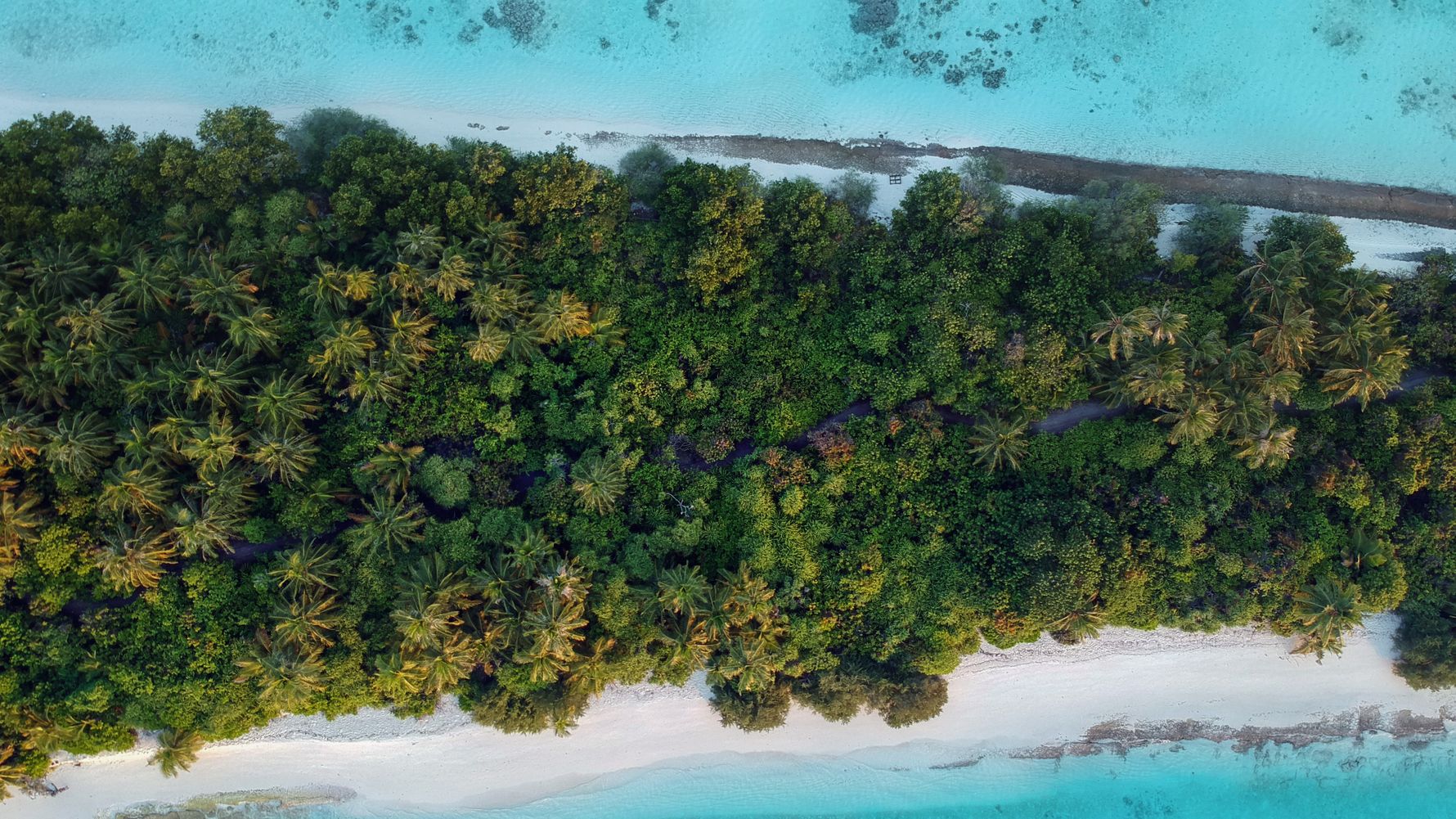 blog-ratgeber-malediven-dhigurah-insel-natucate