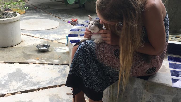 erfahrungsberichte-freiwilligenarbeit-thailand-ko-lanta-tierschutz-andrea-katze-natucate