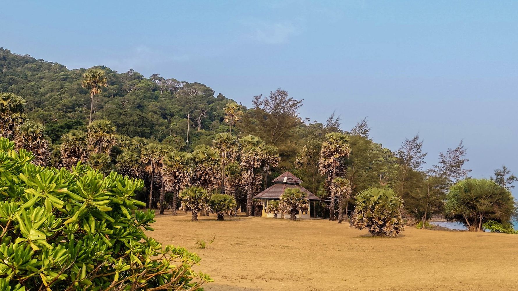 freiwilligenarbeit-thailand-erfahrungsbericht-tierschutz-kundenfotos-natucate