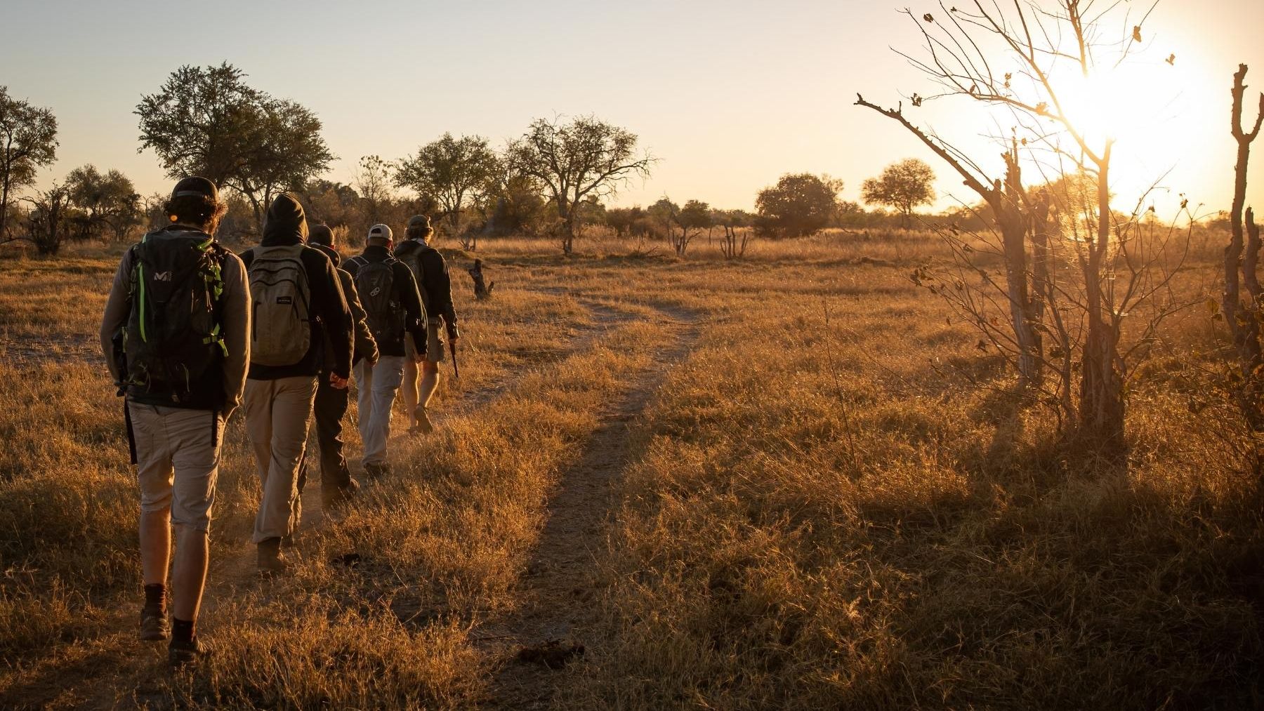 Kursteilnehmer einer Private Wilderness Experience durchqueren eine Grassavanne im suedlichen Afrika