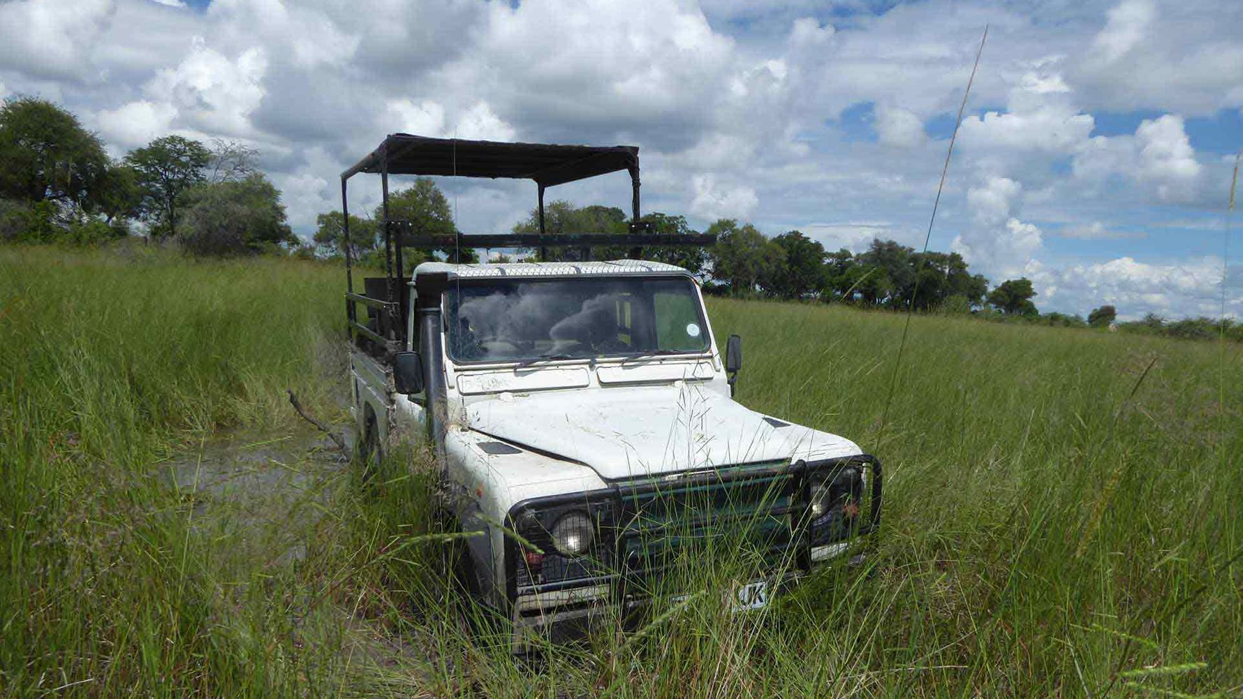 erfahrungsbericht-praktikum-botswana-artenschutz-safari-natucate