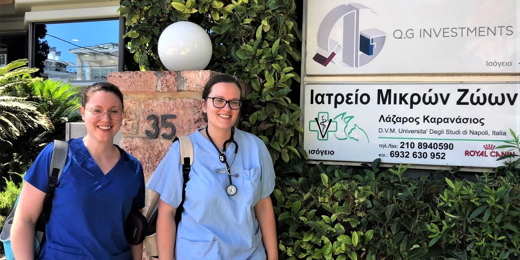 praktikum-griechenland-katzen-tiermedizin-veterinaermedizin