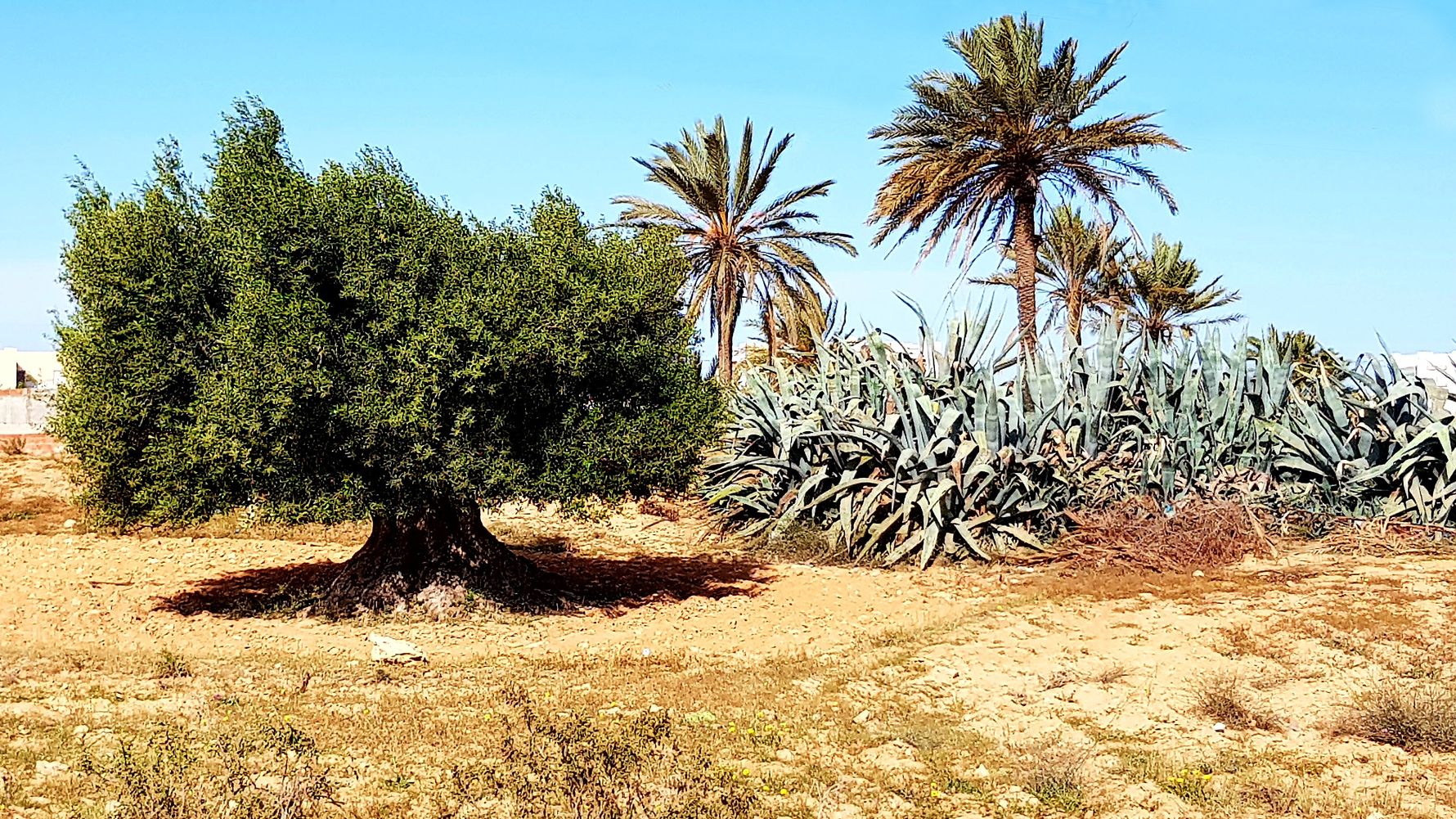 laenderinformationen-griechenland-landschaft-natucate