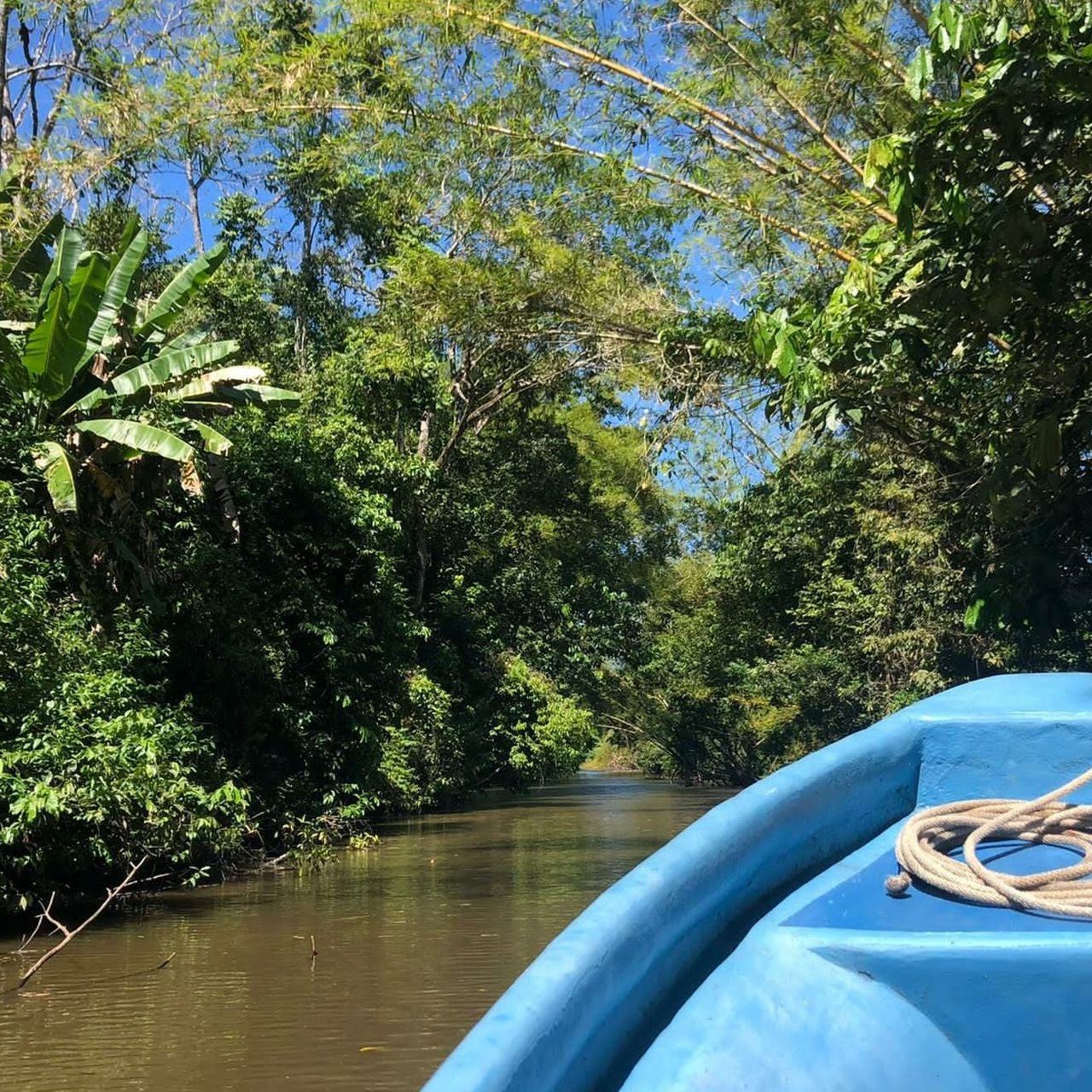 Seraina ist auf einer Bootstour auf ruhigem Wasser umgeben von vielen Pflanzen