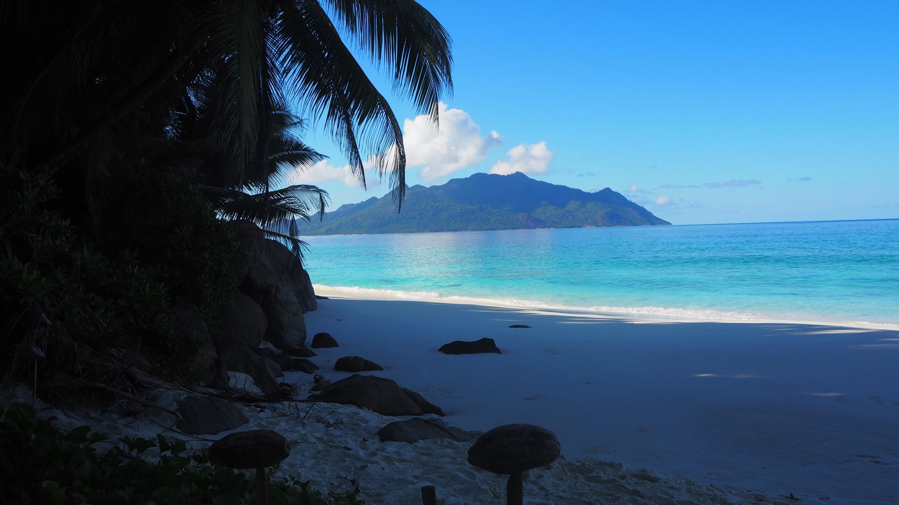 freiwilligenarbeit-seychellen-artenschutz-erfahrungsbericht-kundenfotos-strand-natucate