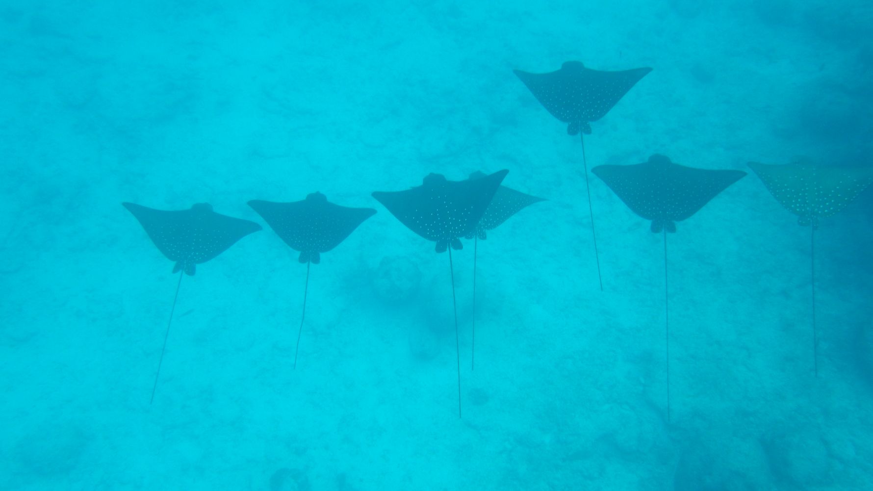erfahrungsbericht-seychellen-kundenfotos-strand-natucate