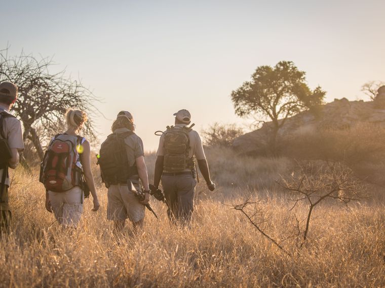 Zwei Guides fuehren ihre Gruppe per Pirschwanderung durch den Busch