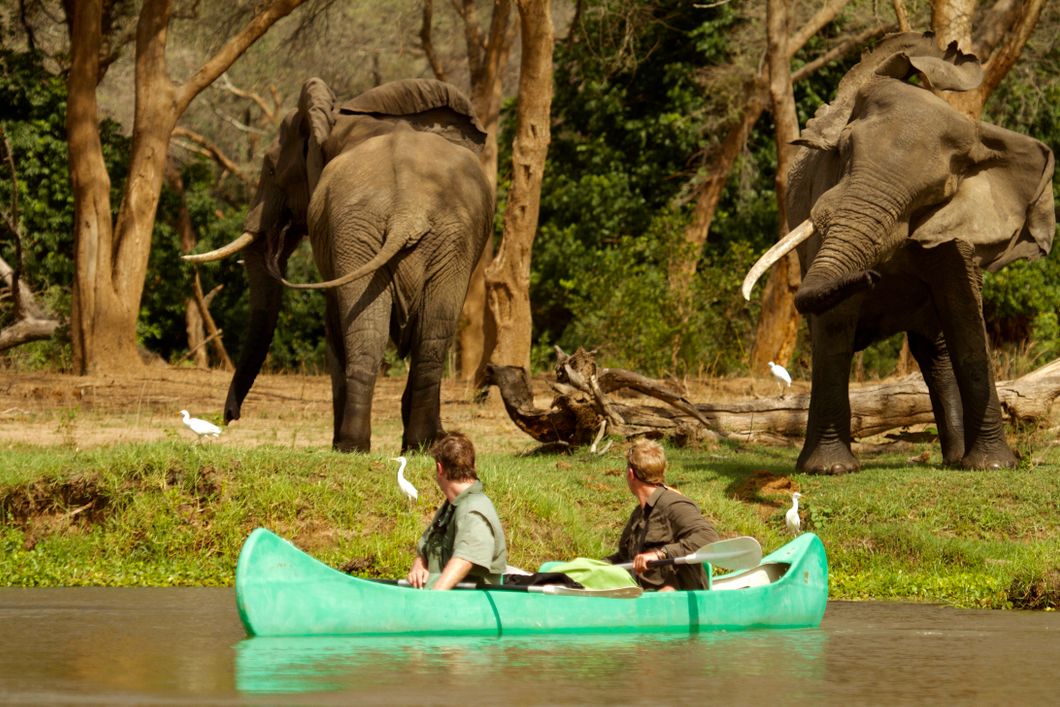 Elefanten koennen vom Fluss aus einem Kanu heraus beobachtet werden
