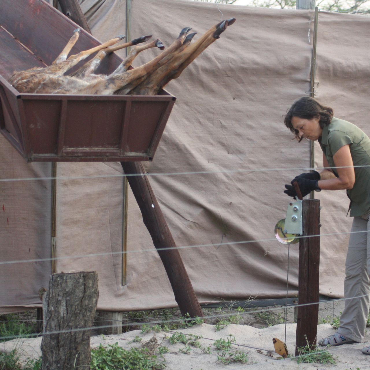 erfahrungsberichte-freiwilligenarbeit-suedafrika-zululand-marianne-fuetterung-natucate