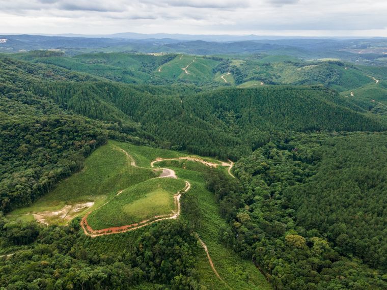Brasilianischer Regenwald von oben mit Bergspitze