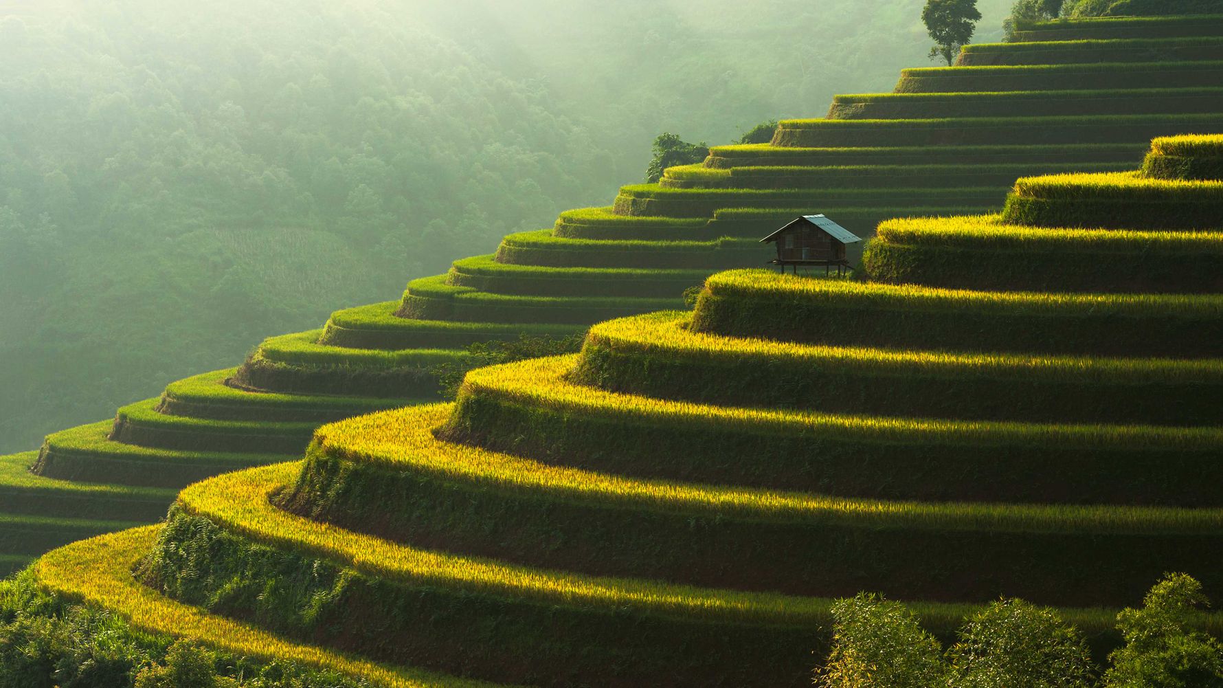 laenderinformationen-vietnam-mu-cang-chai-reisterrassen-natucate