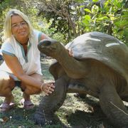 freiwilligenarbeit-seychellen-erfahrungsbericht-artenschutz-kundenfotos-schildkroete-natucate