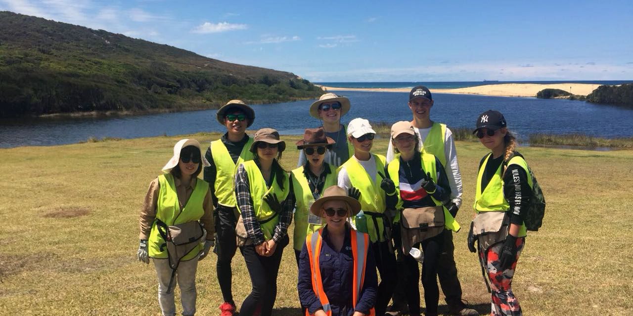 freiwilligenarbeit-australien-naturschutz-volunteers-kueste-natucate