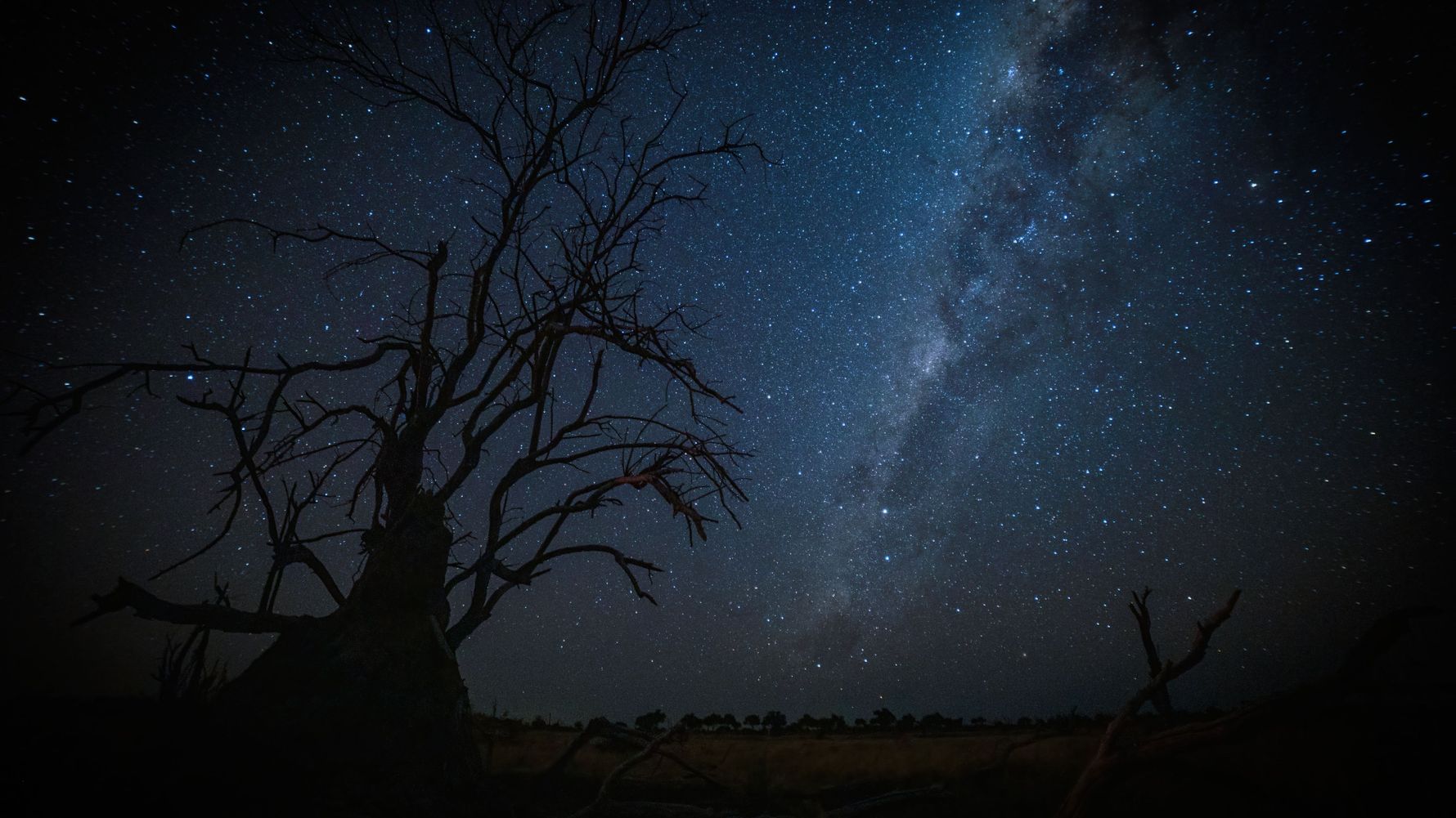 landingpage-rangerkurse-suedafrika-stargazing-natucate