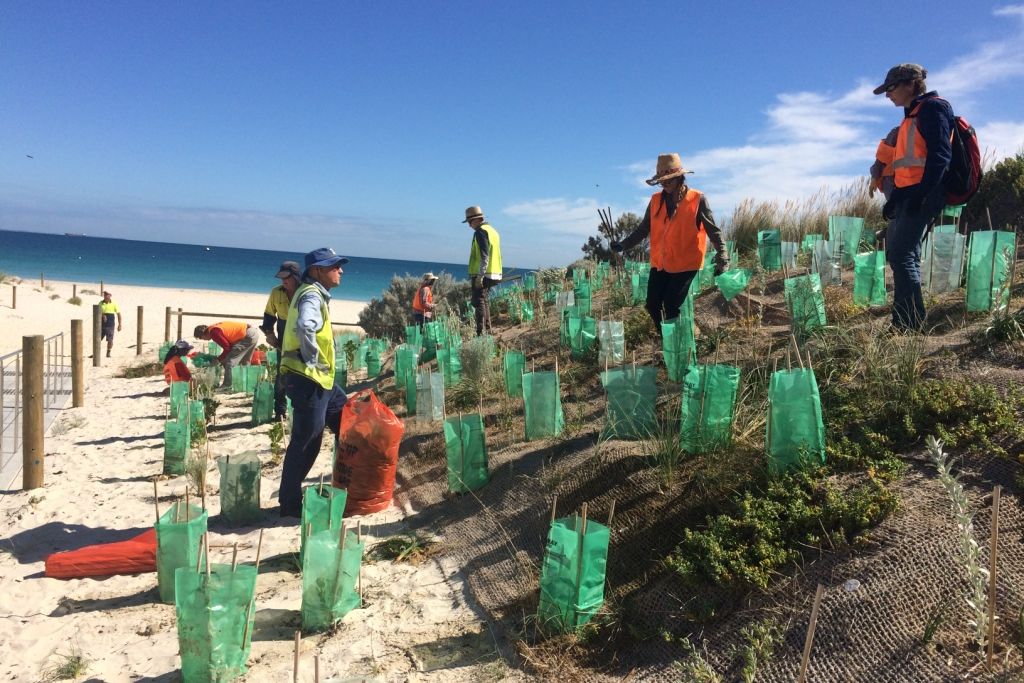 freiwilligenarbeit-australien-naturschutz-volunteers-strand-meer-natucate